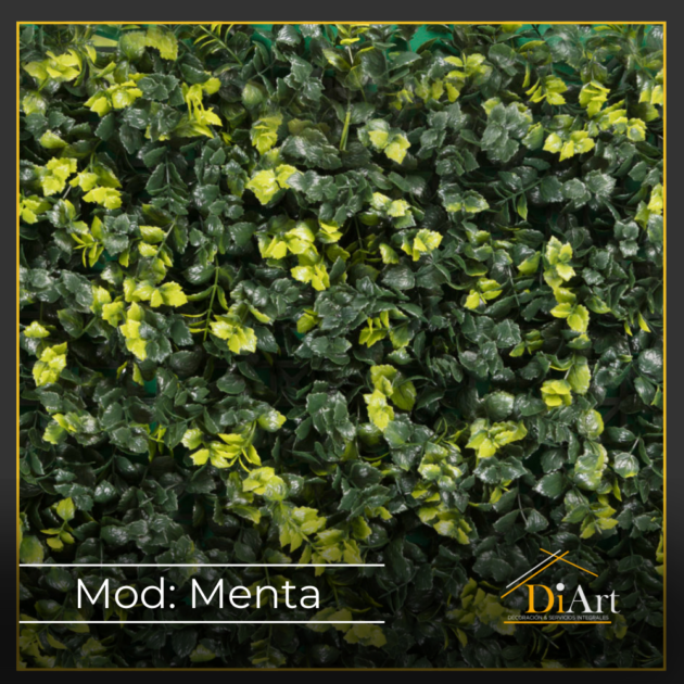 Menta