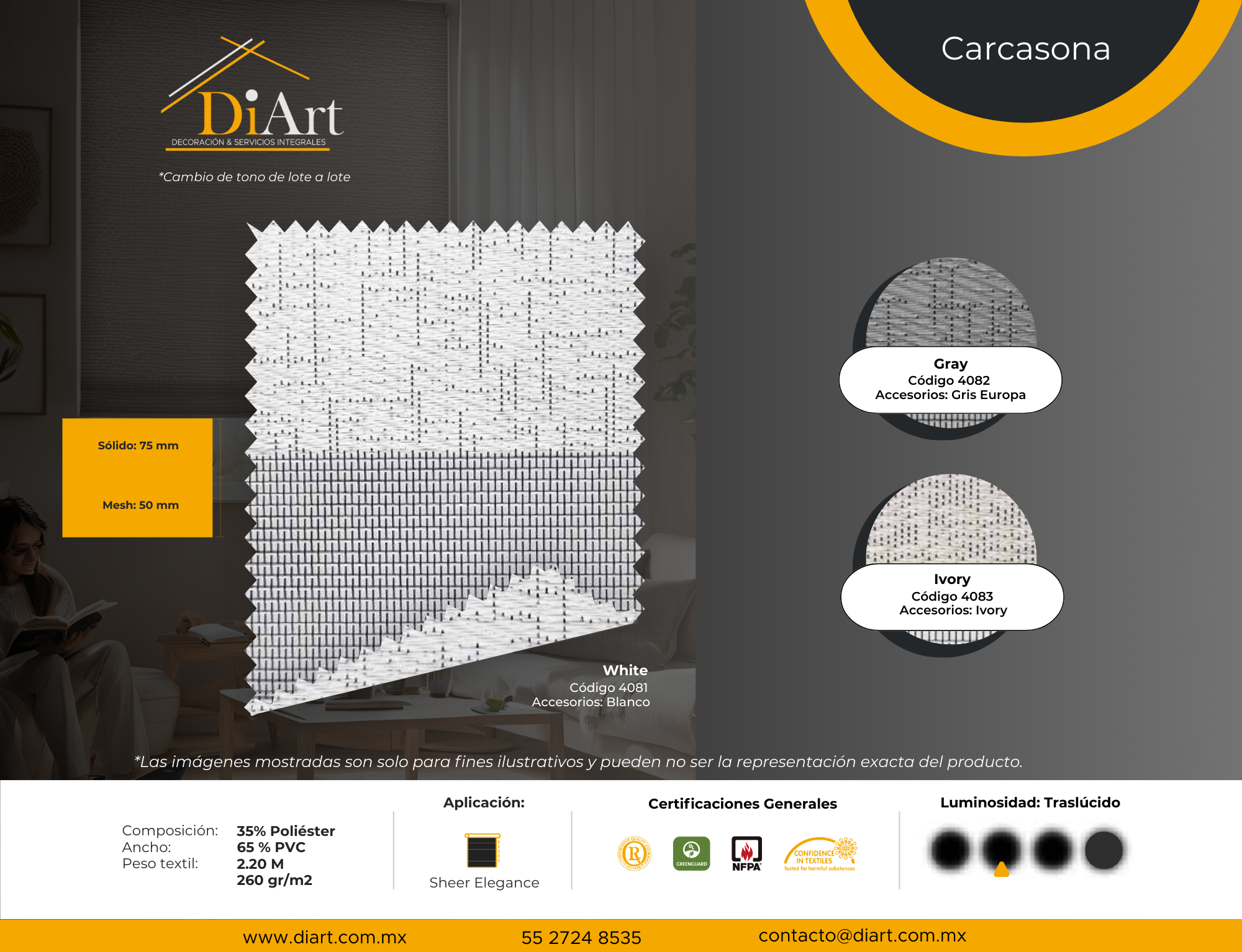 Carcasona